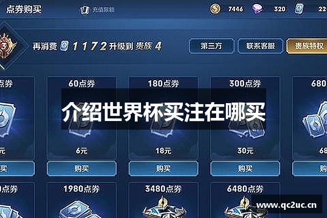 介绍世界杯买注在哪买